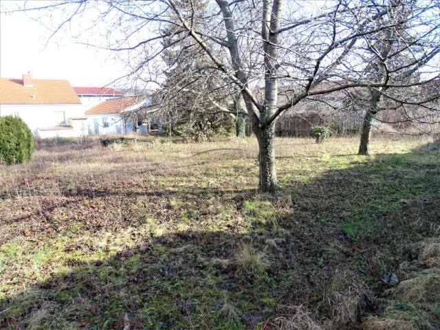 Grundstück kaufen in Schwechat, Niederösterreich