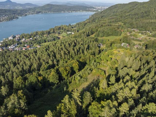 Grundstück kaufen in Sekirn, Maria Wörth