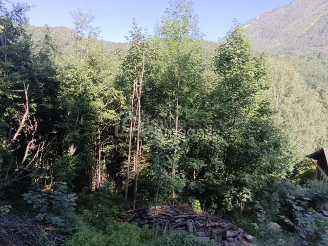 Grundstück kaufen in Semmering, Niederösterreich
