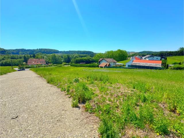 Grundstück kaufen in Sinabelkirchen, Steiermark