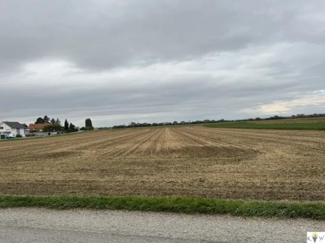Grundstück kaufen in Sommerein, Niederösterreich