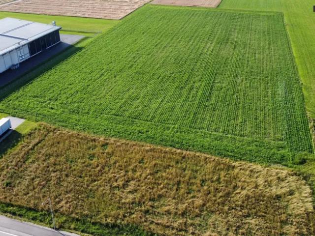 Grundstück mieten in Ingering I, Spielberg bei Knittelfeld