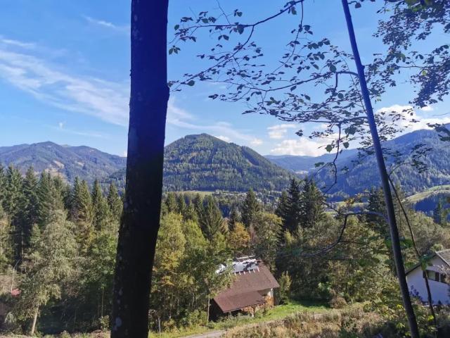 Grundstück kaufen in Spital am Semmering, Steiermark