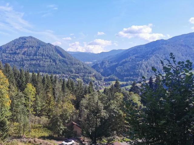 Grundstück kaufen in Spital am Semmering, Steiermark