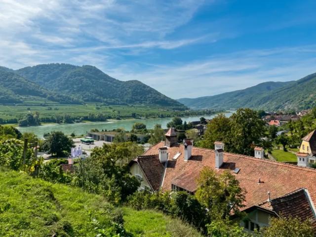 Grundstück kaufen in Spitz, Niederösterreich