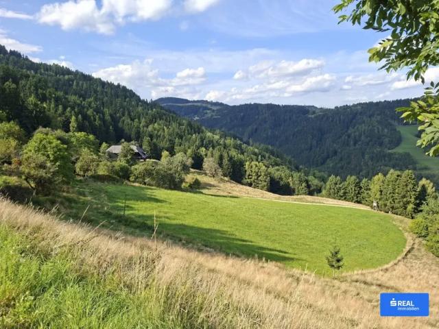 Grundstück kaufen in Wölzing - Sankt Andrä, Kärnten