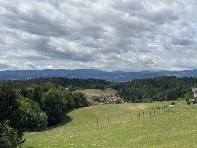 Grundstück kaufen in Stallhofen, Steiermark
