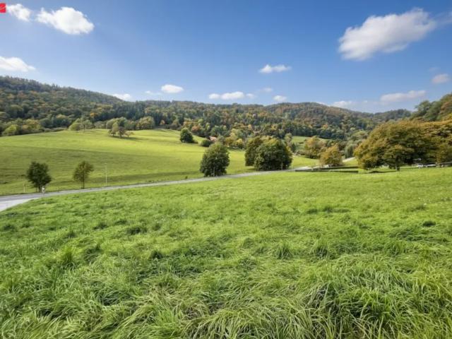 Grundstück kaufen in Stattegg, Steiermark