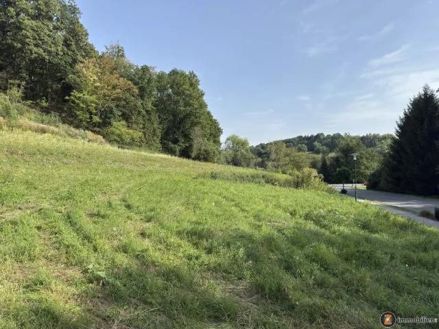 Grundstück kaufen in Stegersbach, Burgenland
