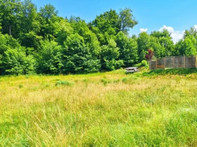 Grundstück kaufen in Steinakirchen am Forst, Niederösterreich