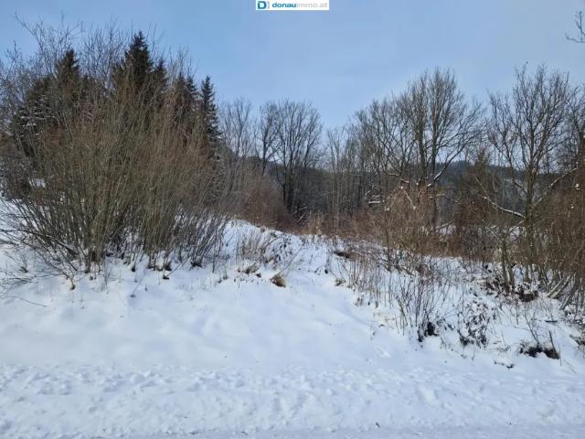 Grundstück kaufen in Spital am Semmering, Steiermark