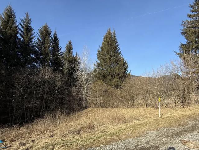 Grundstück kaufen in Spital am Semmering, Steiermark