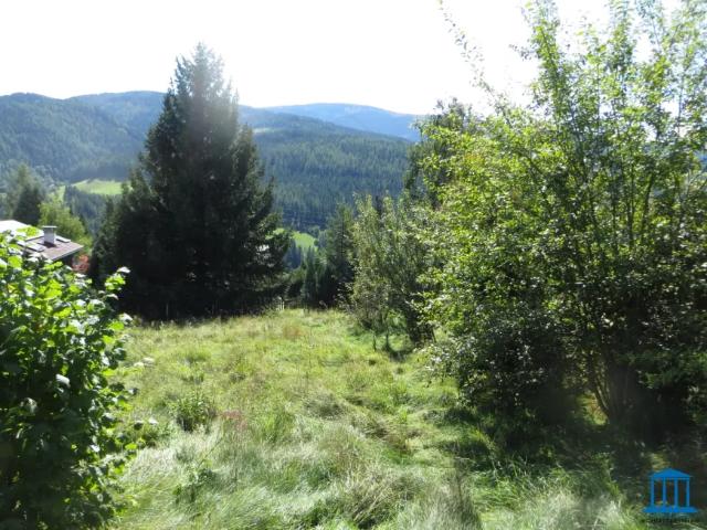 Grundstück kaufen in Spital am Semmering, Steiermark