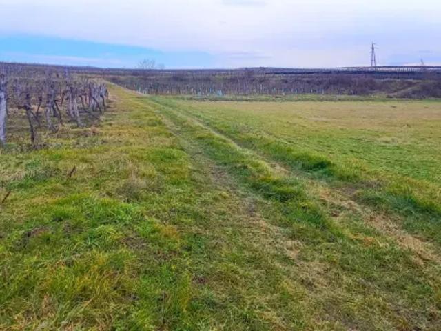 Grundstück kaufen in Straß im Straßertale, Niederösterreich