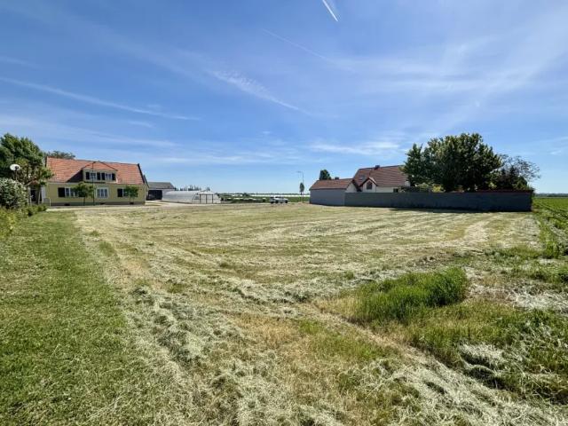 Grundstück kaufen in Tadten, Burgenland