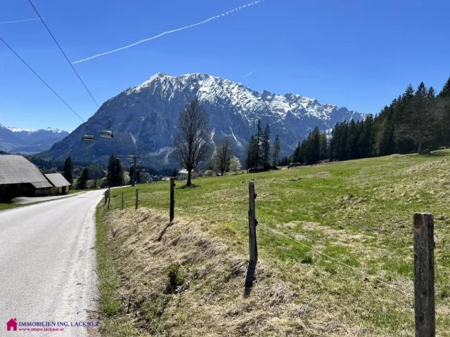 Grundstück kaufen in Bad Mitterndorf, Steiermark