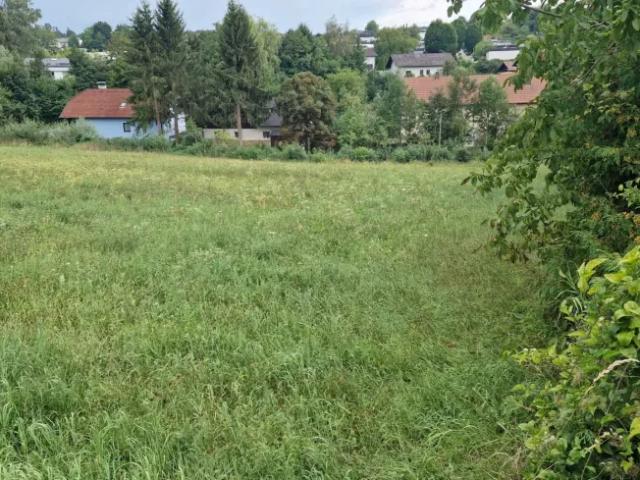 Grundstück kaufen in Thalheim bei Wels, Oberösterreich