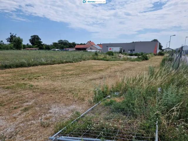 Grundstück kaufen in Theresienfeld, Niederösterreich