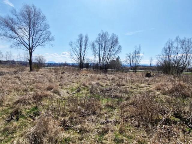 Grundstück kaufen in Timelkam, Oberösterreich