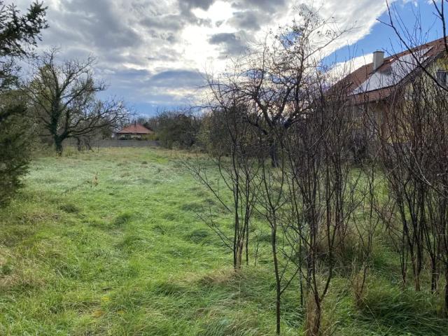 Grundstück kaufen in Traiskirchen, Niederösterreich