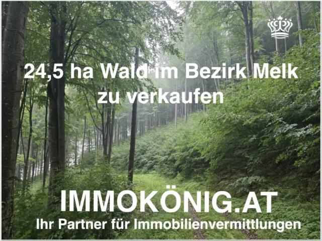Grundstück kaufen in Umbach, Dunkelsteinerwald