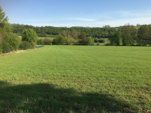 Grundstück kaufen in Kreuttal, Niederösterreich