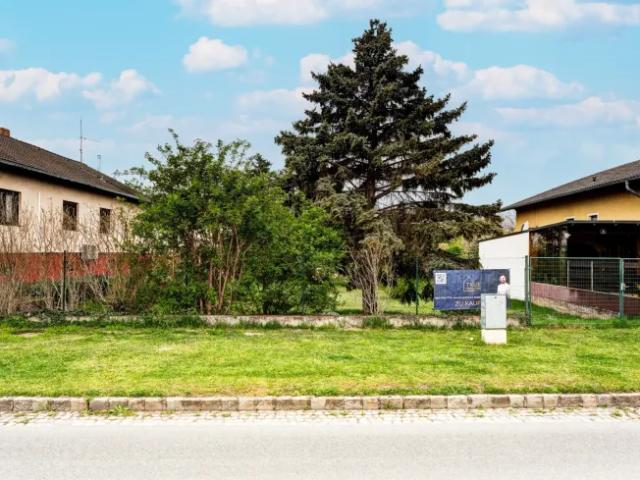 Grundstück kaufen in Untersiebenbrunn, Niederösterreich