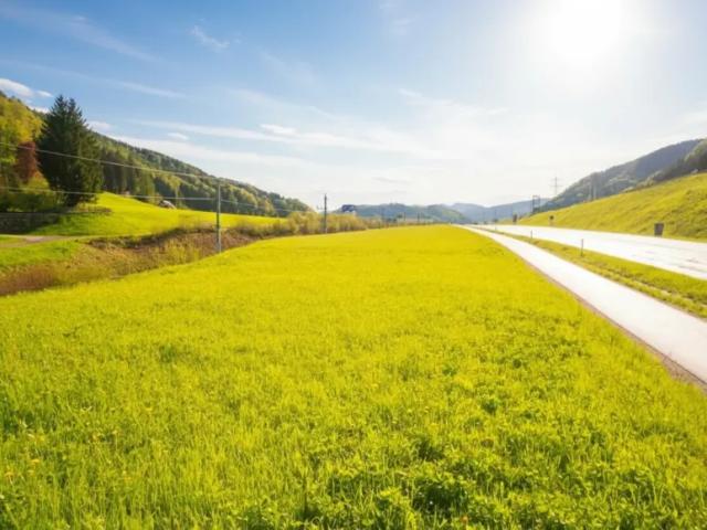 Grundstück kaufen in Waidhofen an der Ybbs, Niederösterreich