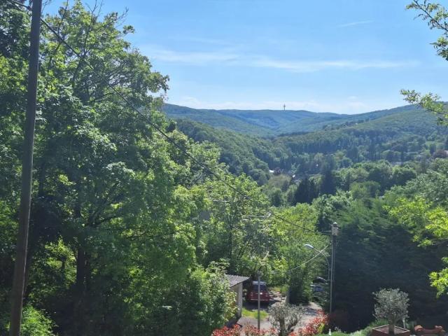 Grundstück kaufen in Statzendorf, Niederösterreich