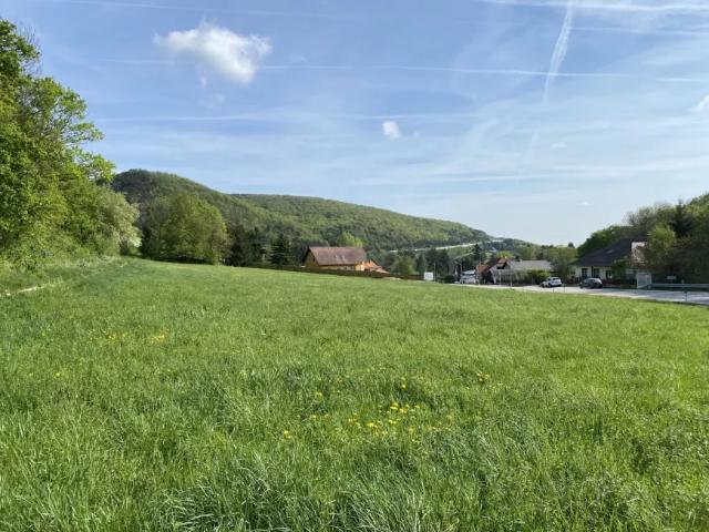 Grundstück kaufen in Hinterbrühl, Niederösterreich