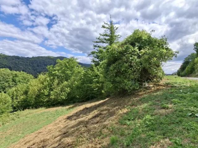 Grundstück kaufen in Weiten, Niederösterreich