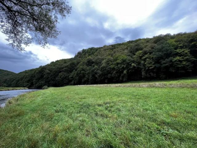 Grundstück kaufen in Weitersfeld, Niederösterreich