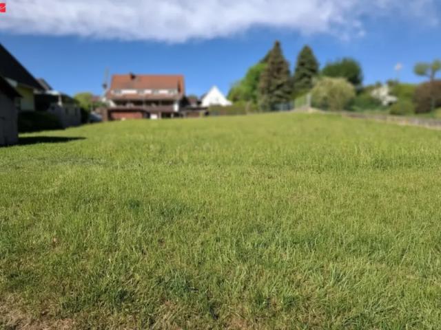 Grundstück kaufen in Weiz, Steiermark
