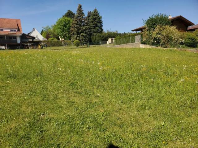 Grundstück kaufen in Weiz, Bezirk Weiz