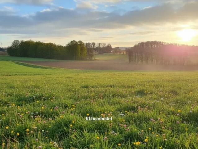 Grundstück kaufen in Wieselburg, Niederösterreich