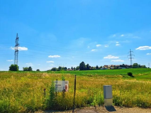 Grundstück kaufen in Wieselburg, Niederösterreich