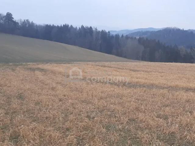 Grundstück kaufen in Wiesmath, Niederösterreich