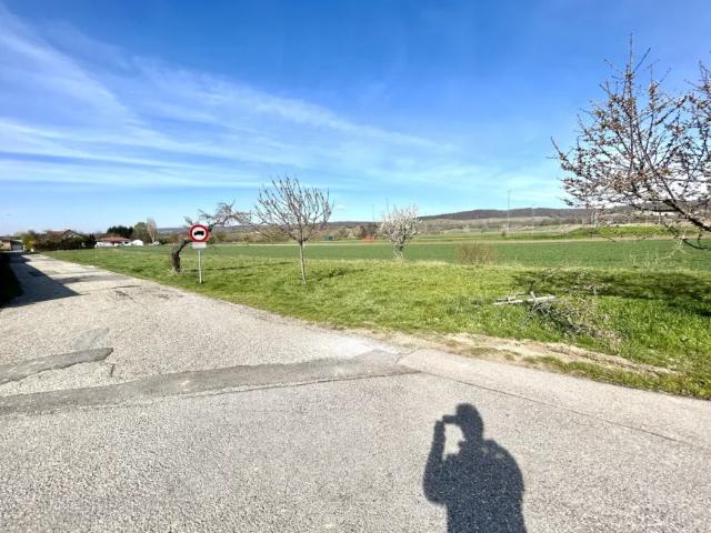 Grundstück kaufen in Winden am See, Burgenland