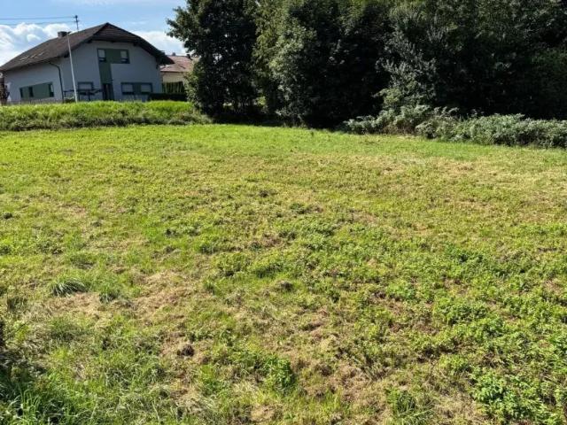 Grundstück kaufen in Andorf, Oberösterreich