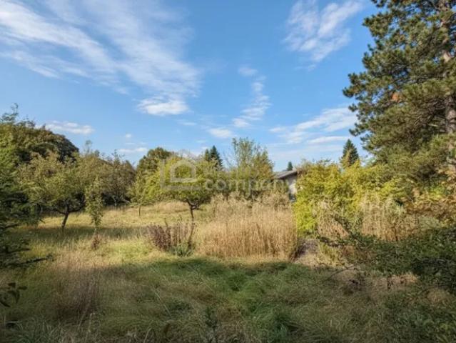 Grundstück kaufen in Bad Fischau-Brunn, Niederösterreich