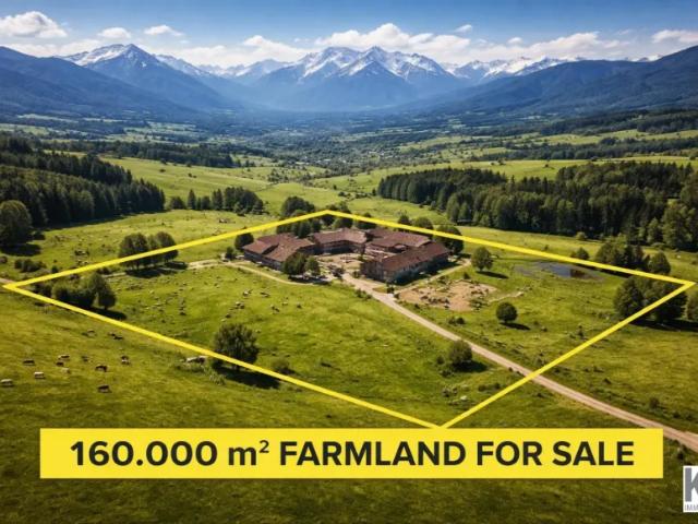 Grundstück kaufen in Mellau, Vorarlberg