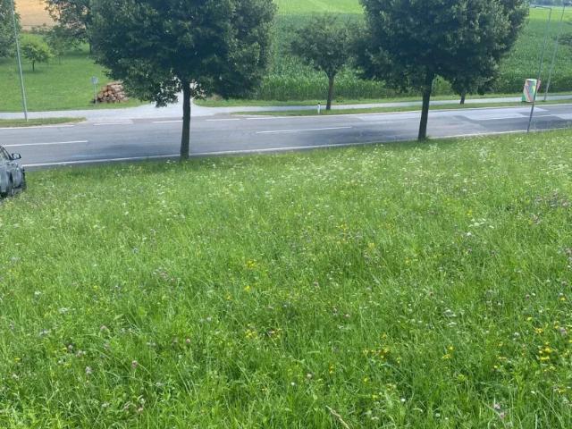 Grundstück kaufen in Mellau, Vorarlberg