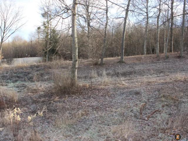 Grundstück kaufen in Bad Tatzmannsdorf, Burgenland
