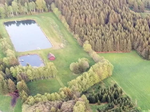 Grundstück kaufen in Bad Traunstein, Bezirk Zwettl