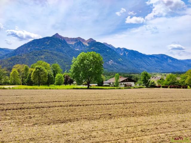 Grundstück kaufen in Berg im Drautal, Bezirk Spittal an der Drau