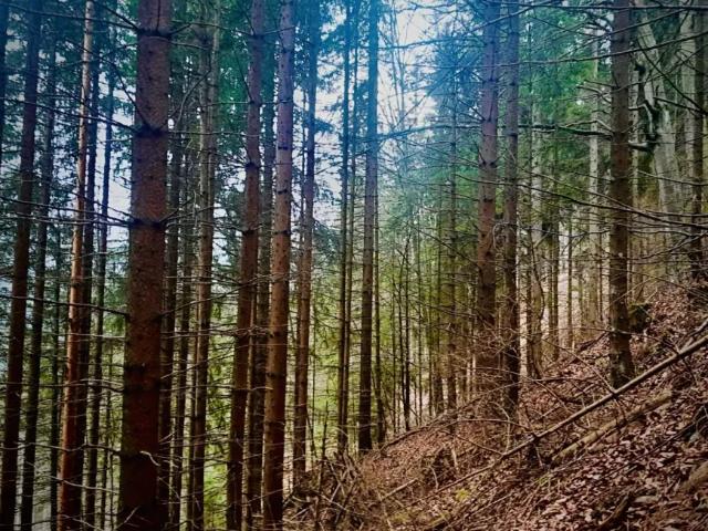 Grundstück kaufen in Bruck an der Mur, Steiermark