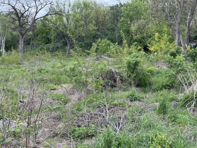 Grundstück kaufen in Staatz-Kautendorf, Niederösterreich