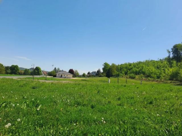 Grundstück kaufen in Höflach, Fehring