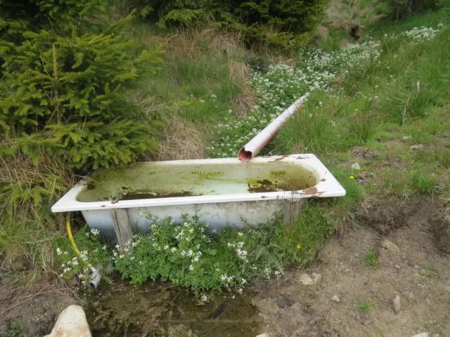 Grundstück kaufen in St. Marein bei Knittelfeld, Steiermark