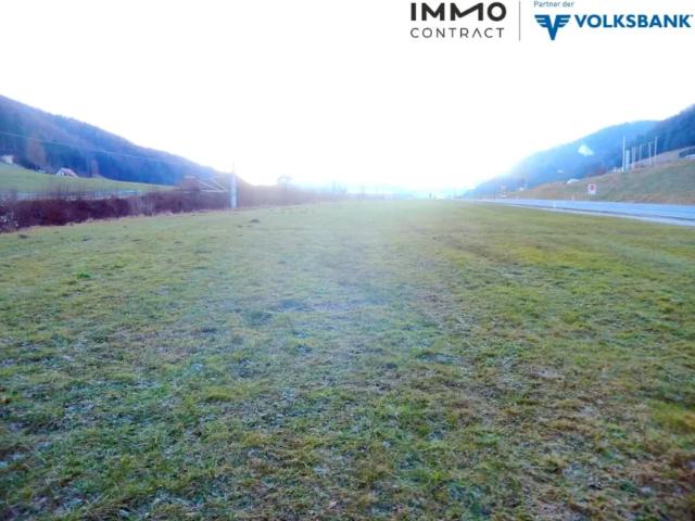 Grundstück kaufen in Gaflenz, Oberösterreich